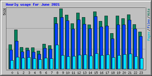 Hourly usage for June 2021