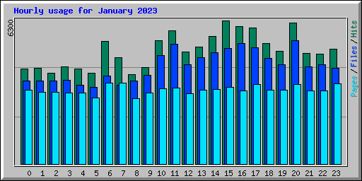 Hourly usage for January 2023